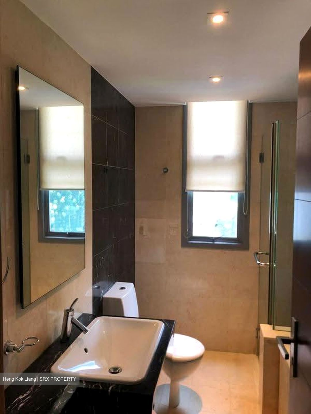 Residences @ Evelyn (D11), Condominium #627863501